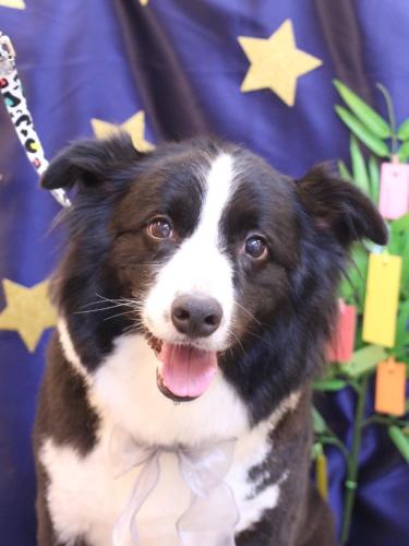 20230730ウィルくん